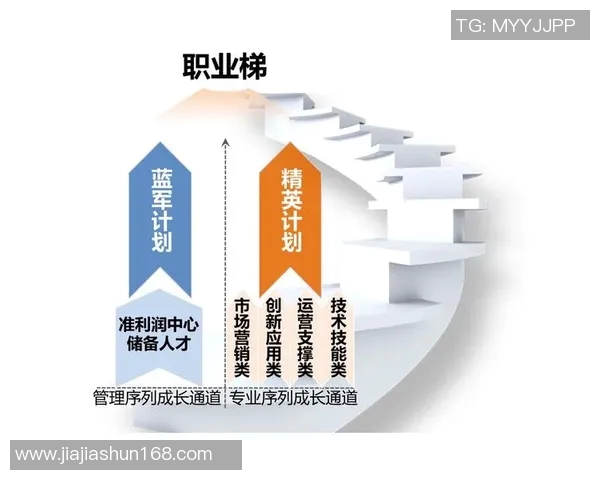 与杨丽对话：探索她在和平精英中的职业生涯与成长历程