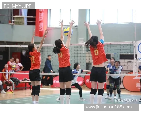 成都排球队技术革新引发热议助力竞技水平提升与发展