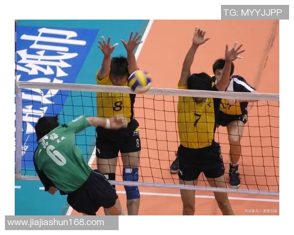 杭州排球队的奋斗与荣耀：一段排球精神的纪实之旅