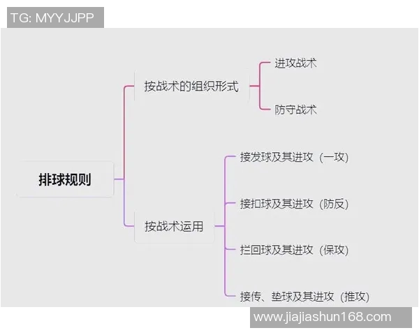 深圳排球队的灵活性探讨与战术创新分析