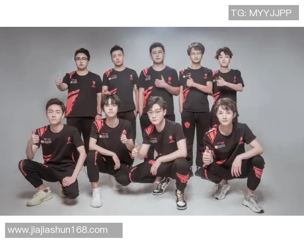 聚焦和平精英赛事TES战队实力解析与未来展望