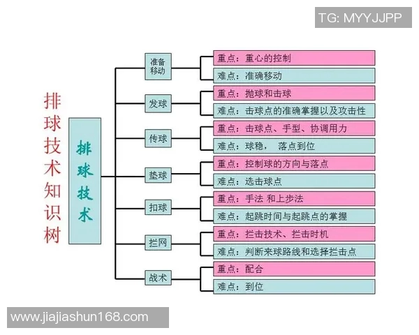 北京排球队防守策略解析：深度剖析排球技术与战术的完美结合