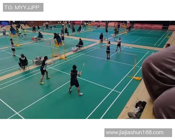 南京羽毛球队在比赛中创下新高经验排名引发关注与讨论