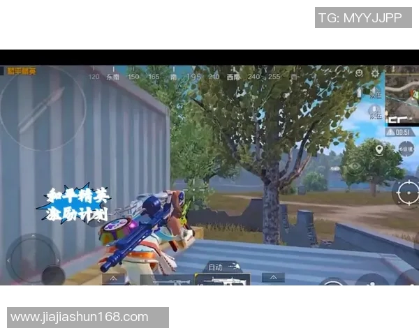 和平精英V5耐力测试专题探讨游戏策略与玩家技巧的结合 和平精英V5耐力测试专题探讨游戏策略与玩家技巧的结合