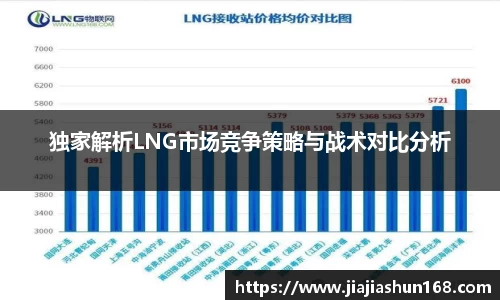 独家解析LNG市场竞争策略与战术对比分析